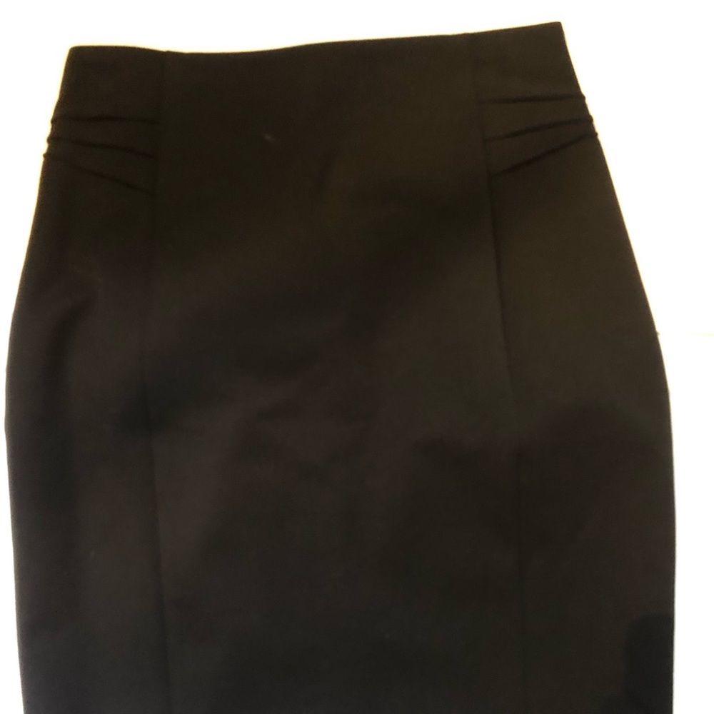 Express dress skirt